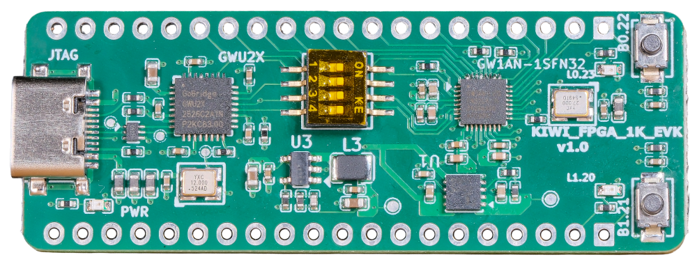 KIWI 1K FPGA BOARD view 2
